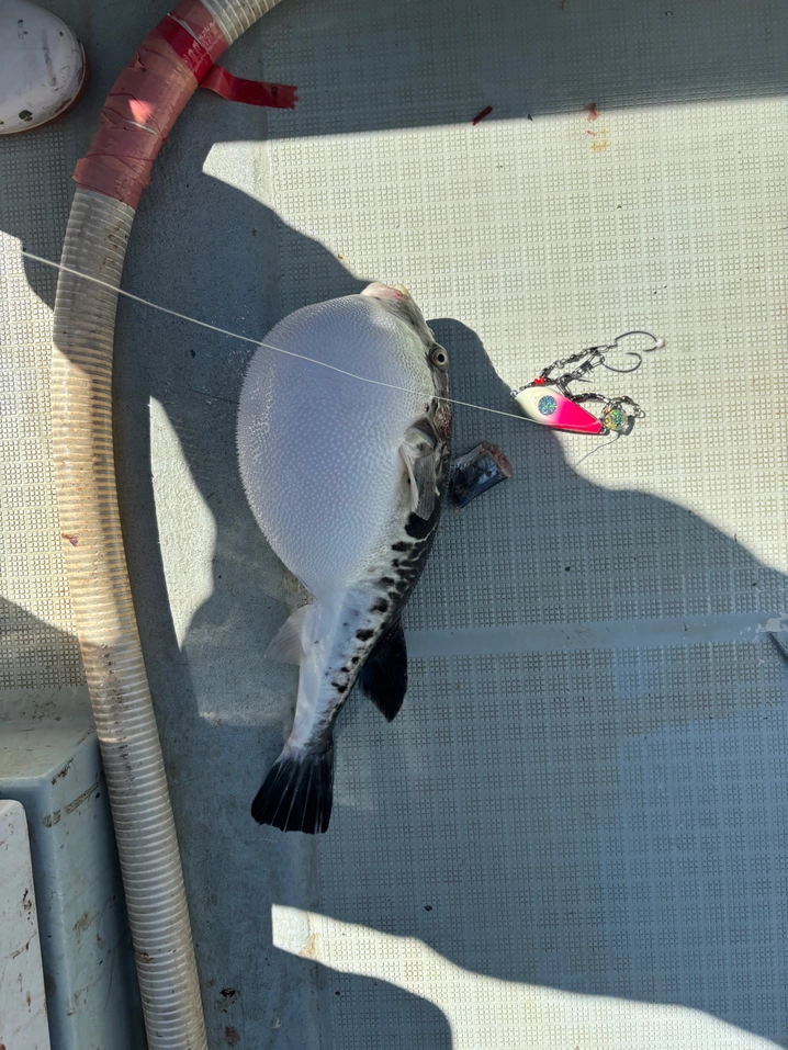 シマノ サーベルマスター TT 82 MH180