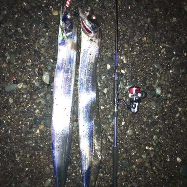 XESTA RUNWAY SRF 10.3M MULTI NAVIGATOR