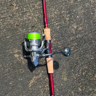 SHIMANO WORLD SHAULA 2833RS-2