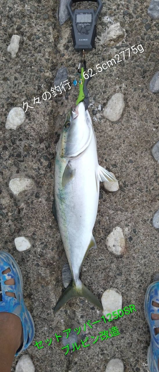 YAMAGA Blanks ブルースナイパー ライトクラスコンセプト 103L