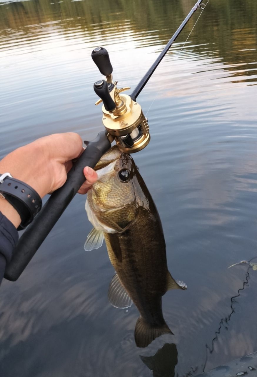 あ*る様 シマノ　21 カルカッタコンクエスト 101HG レフト　※8/15出 あ*る様 シマノ 21 カルカッタコンクエスト 101HG レフト ※8/15