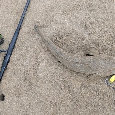 SHIMANO Vanquish 4000MHG