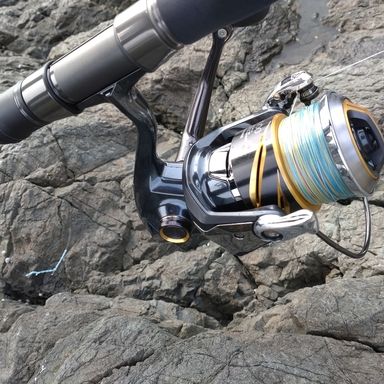 SHIMANO STELLA SW 8000XG
