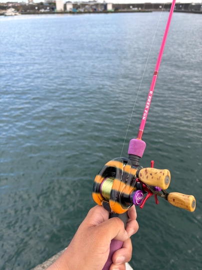 スミス ビーエリア ファン BAF-CG47UL/SBL