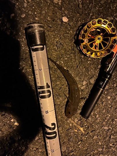 オージーケー ポケット磯Ⅲ 240