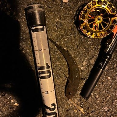 OGK POCKET ISO Ⅲ 240