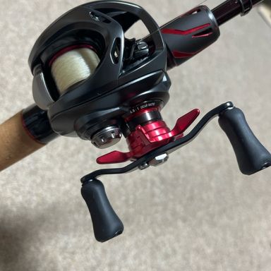 DAIWA STEEZ (BAITCASTING MODEL)2024 SC　C66M/ML−SV・ST　WEREWOLF