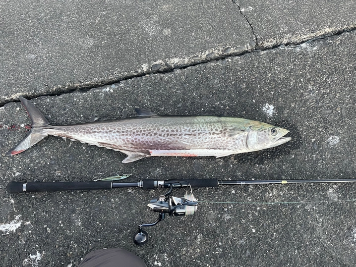 シマノ コルトスナイパー XR S96ML