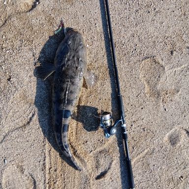 MajorCraft TIDRIFT 1G-class TD1-1002M