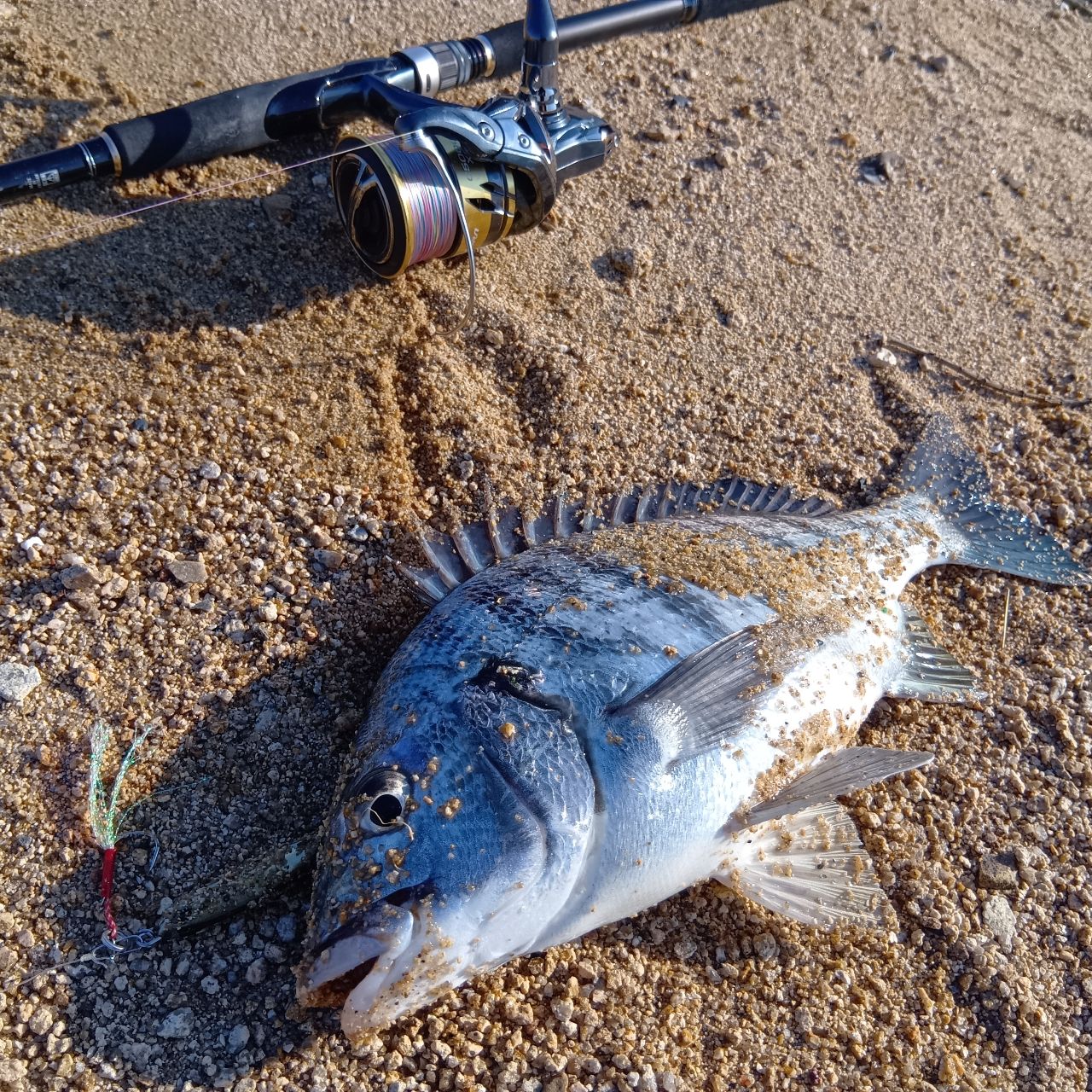 MajorCraft 23タイドリフト 1G-class TD1-1002Mの最安値・インプレ