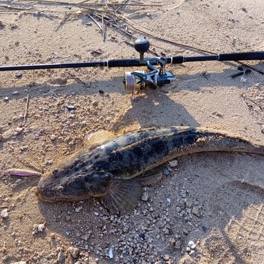 SHIMANO '25 ULTEGRA C5000XG