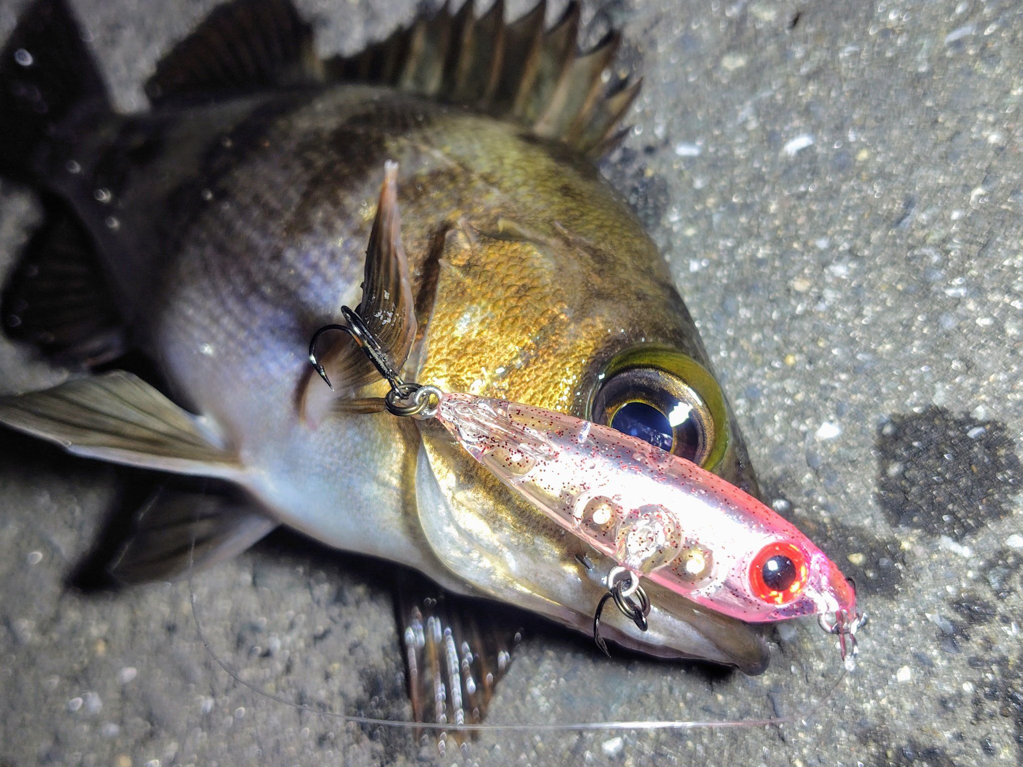 YAMAGA Blanks 20ブルーカレント 3 74の最安値・インプレ・釣果 | 本音