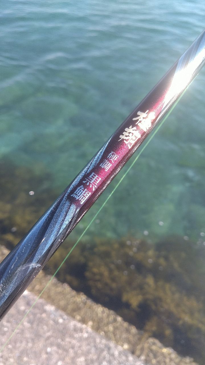 SHIMANO 20極翔 硬調 黒鯛 1-530の最安値・インプレ・釣果 | 本音の