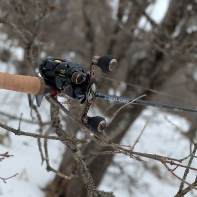 PALMS RERA KAMUY RKSC-69ML