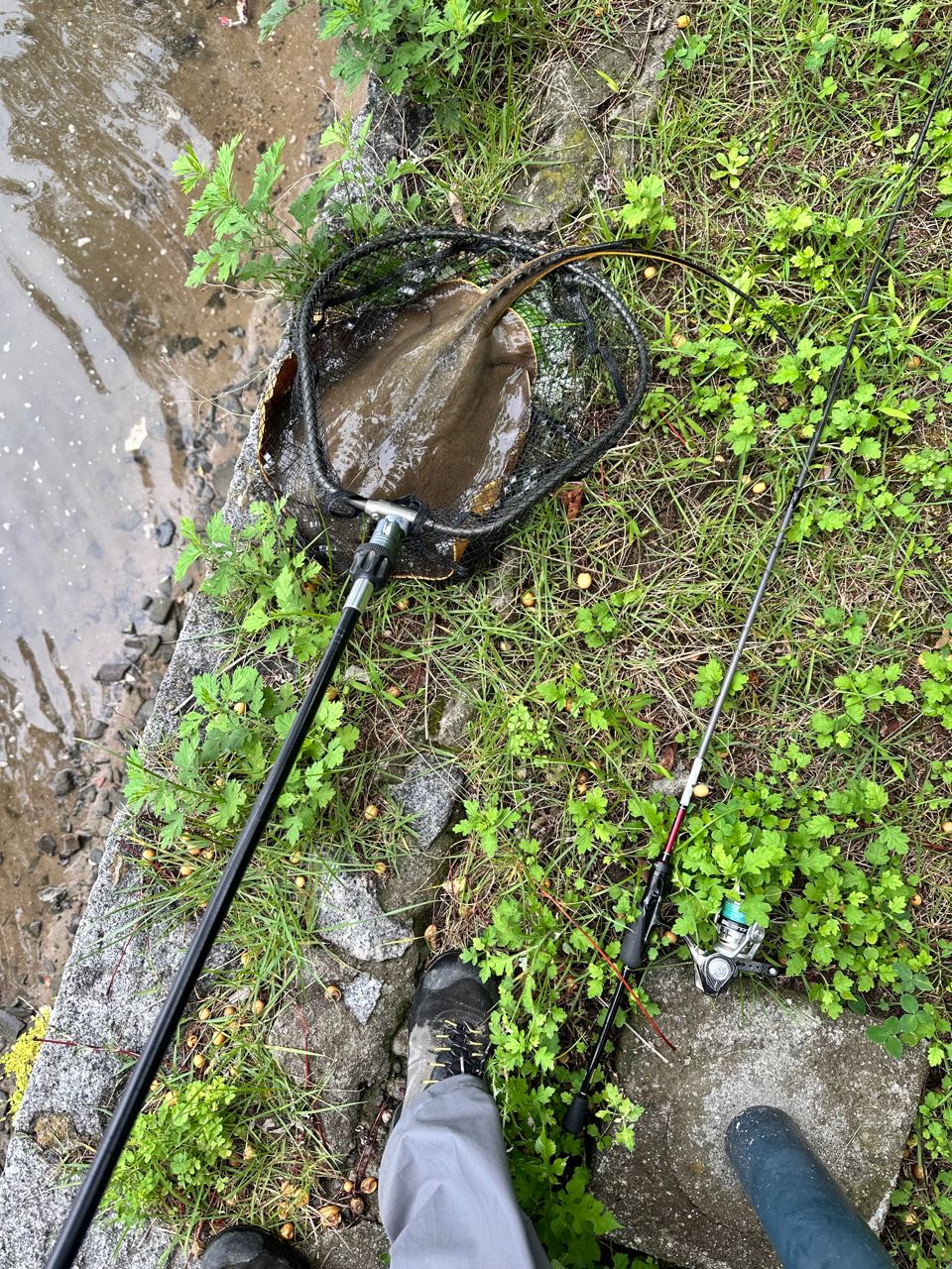 DAIWA 23月下美人 AIR 68L-T・Wの最安値・インプレ・釣果 | 本音の