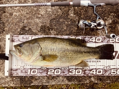 DAIWA 22ハートランド AGS 852ML+FS-SV AGS22の最安値・インプレ・釣果