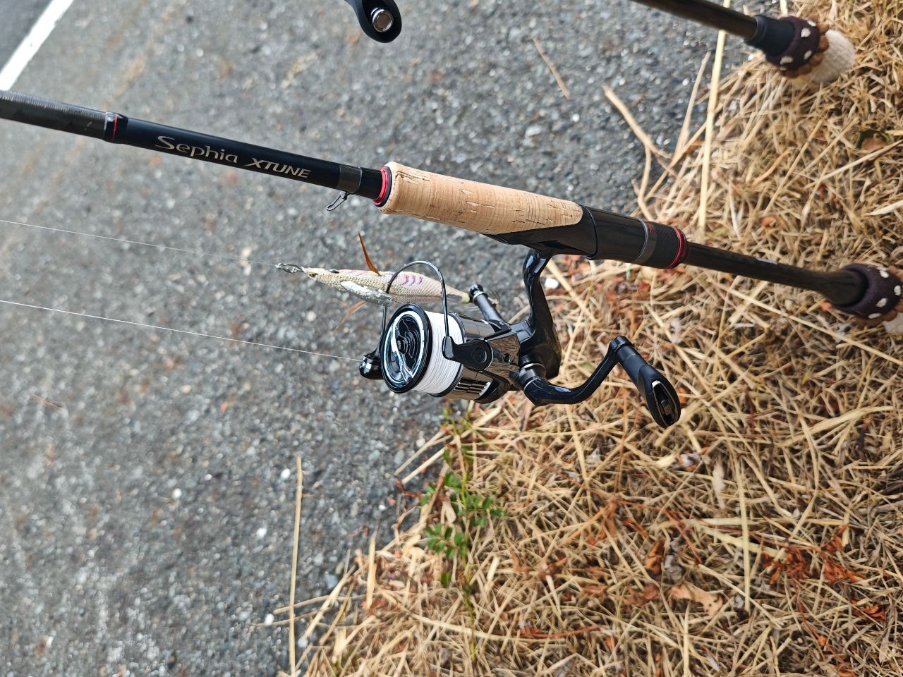 シマノ　エクスチューン　S82ML SHIMANO 2020 セフィア エクスチューン S82MLの最安値・インプレ・釣果