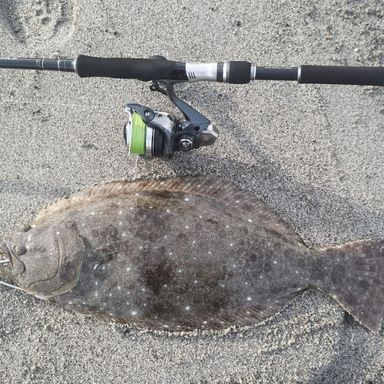 SHIMANO EXSENCE S1000MH/R