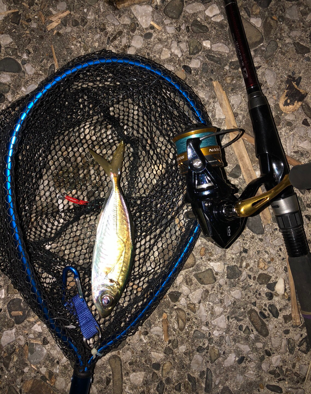 DAIWA 18リバティクラブ ライトパックのインプレ一覧 | 本音の