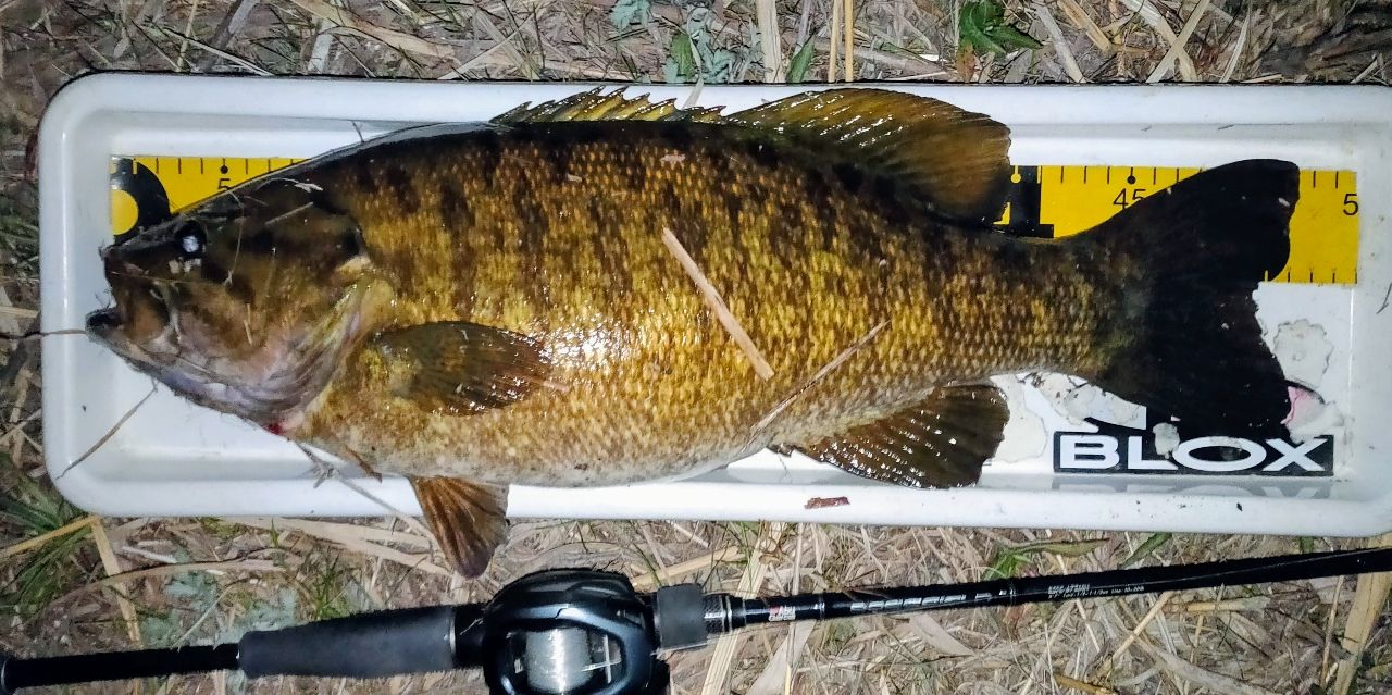 AbuGarcia バスフィールド BSFC-672MHのインプレ一覧 | 本音の口コミが