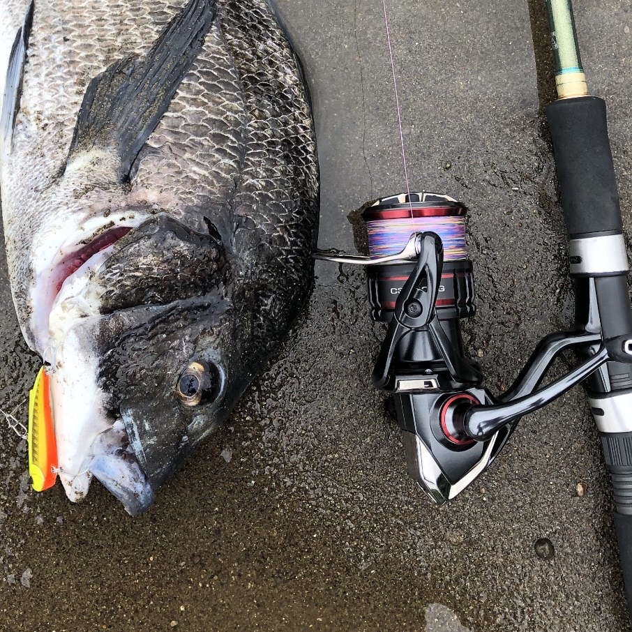 SHIMANO 20ヴァンフォード C3000XGの最安値・インプレ・釣果