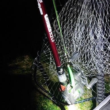 Fishman Beams CRAWLA 92L+