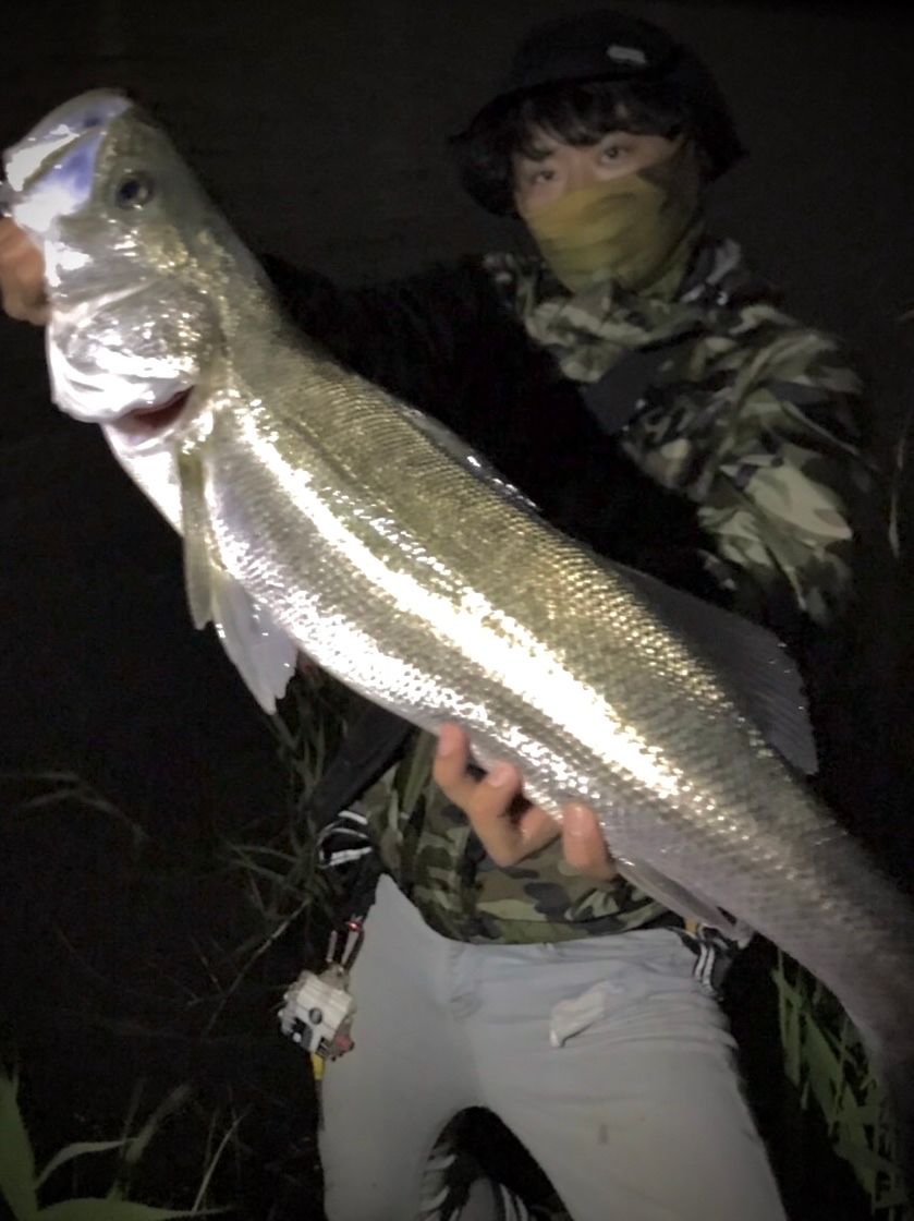 AbuGarcia 18ロキサーニ スピニング 3000MSHの最安値・インプレ
