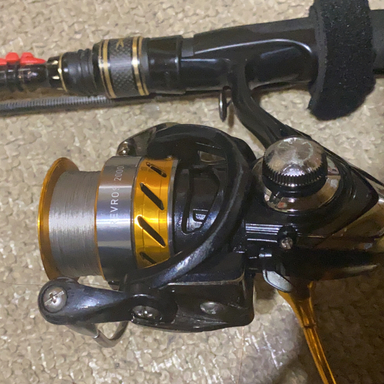 DAIWA REVROS 2000