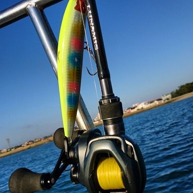 SHIMANO LUNAMIS B76MH