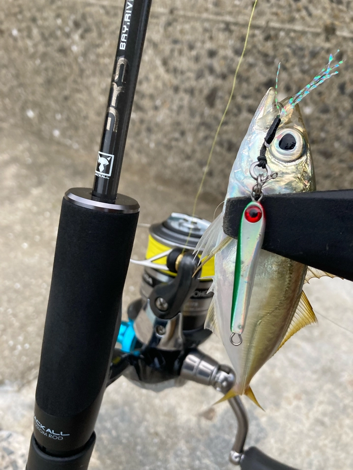 ジャッカル ビーアールエス BRS-S64UL-LG