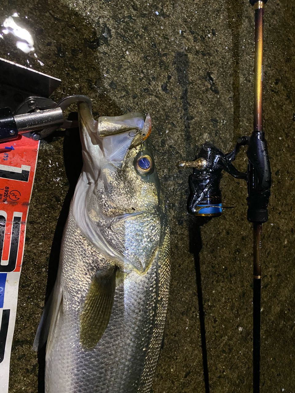 SHIMANO 19ソアレ BB アジング S610L-Sのインプレ一覧 | 本音の口コミ