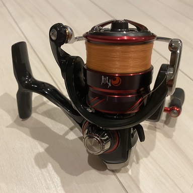 DAIWA GEKKABIJIN MX LT2000S-P