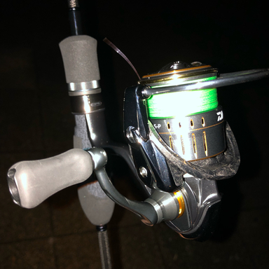 DAIWA LUVIAS AIRITY FC LT1000S-P