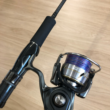 DAIWA CATALINA　BJ AP 62MS-METAL (SLJ)