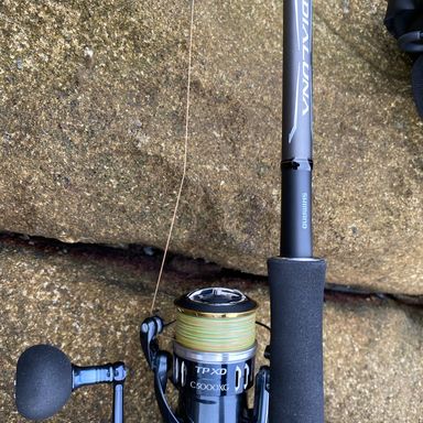 SHIMANO TWIN POWER XD ('17) C5000XG