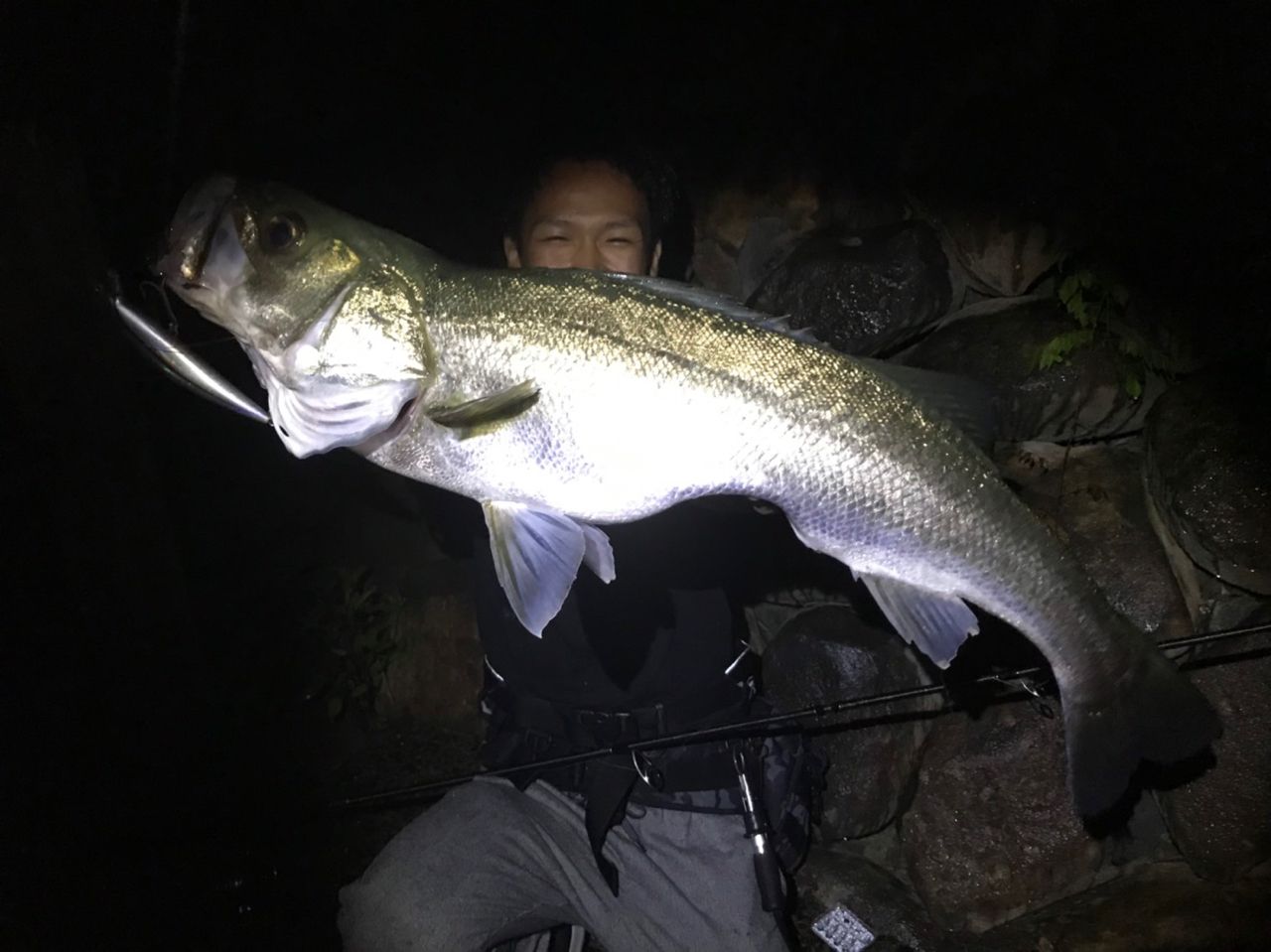 DAIWA 18レガリス LT4000D-CXHのインプレ一覧 | 本音の口コミが集まる