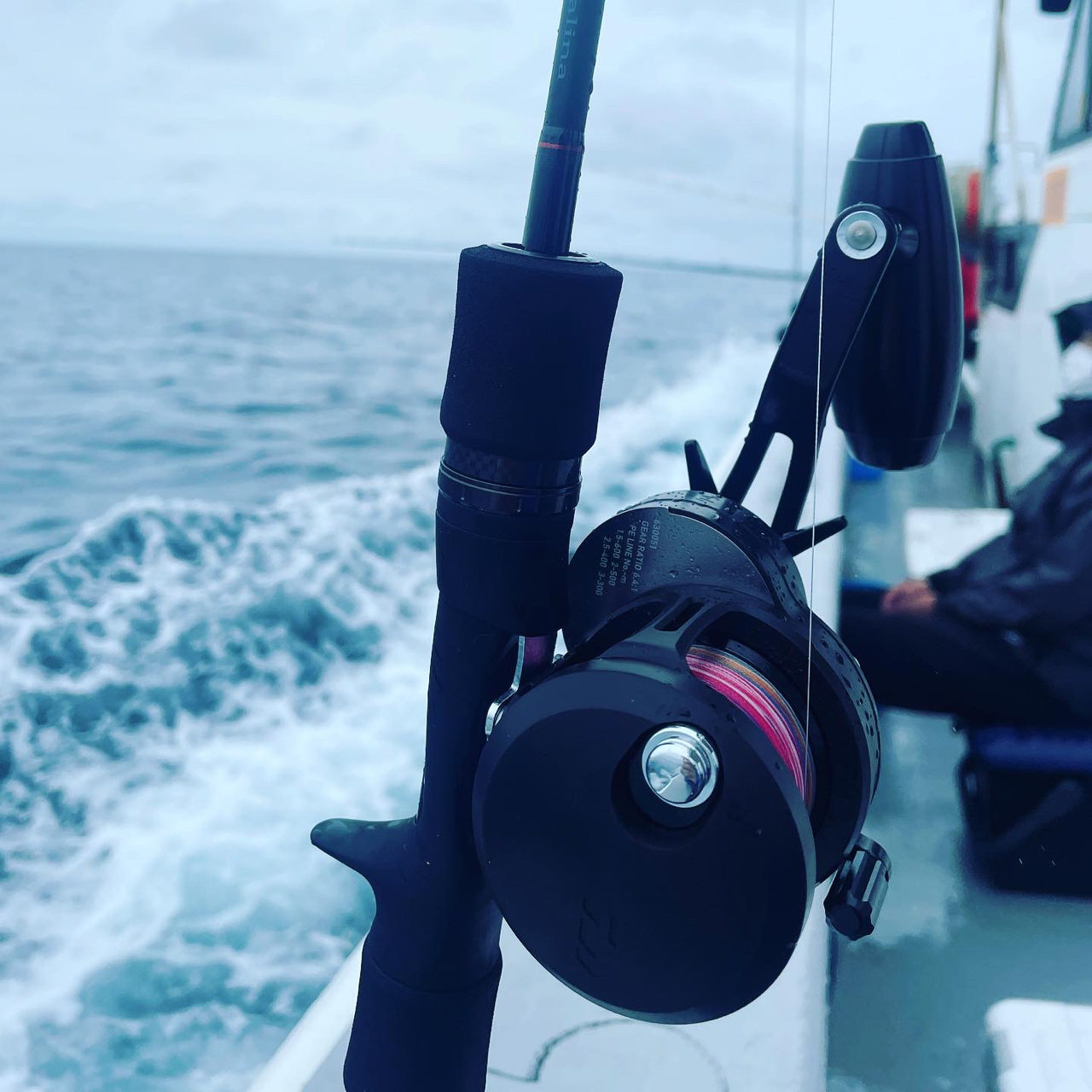 DAIWA 19キャタリナ 15Hの最安値・インプレ・釣果 | 本音の
