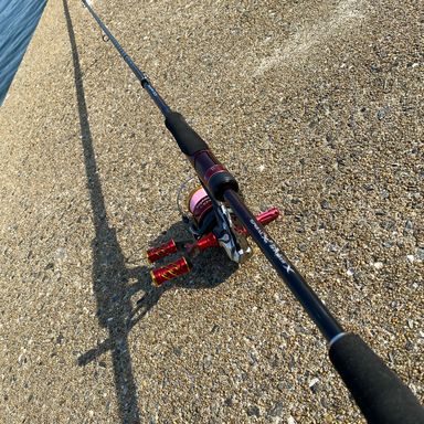 SHIMANO Sephia SS S83M