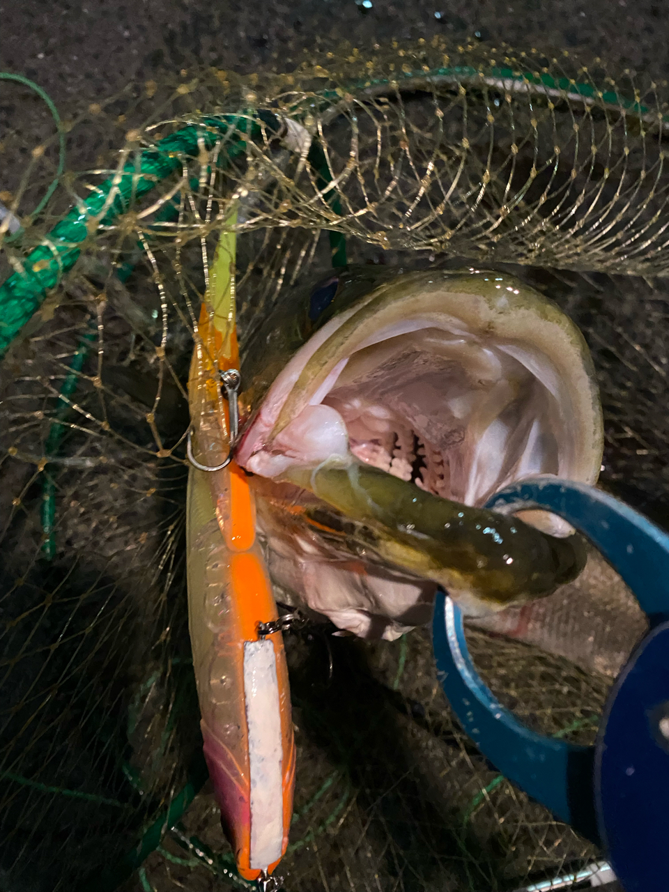 AbuGarcia ホーネットスティンガー プラス マルチピースモバイル