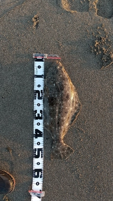 シマノ ルナミス S110M