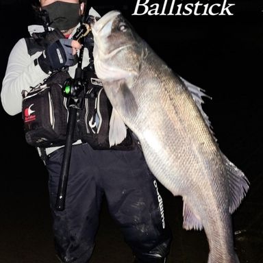 YAMAGA Blanks Ballistick Bait (Overhead Reel Model) 103MH NANO