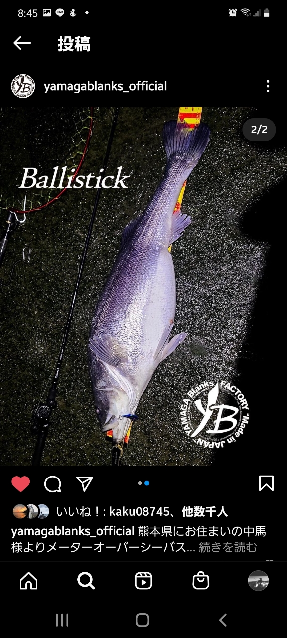 YAMAGA Blanks バリスティックベイト (オーバーヘッドリール