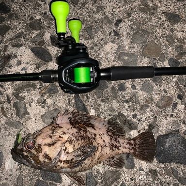 SHIMANO HARD ROCKER B810MH+