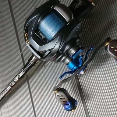 DAIWA STEEZ A TW 1016SHL