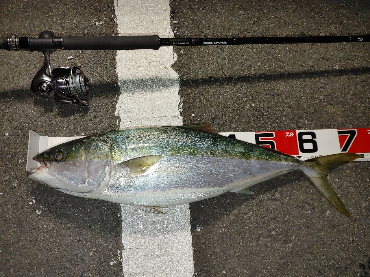 DAIWA 17ソルティガ BJ 4000SHの最安値・インプレ・釣果 | 本音の