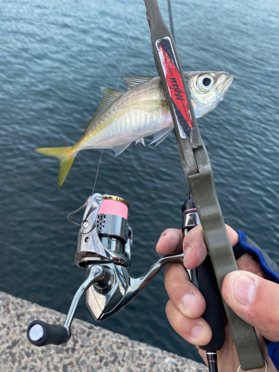 SHIMANO 18ステラ 1000SSSPGの最安値・インプレ・釣果 | 本音の