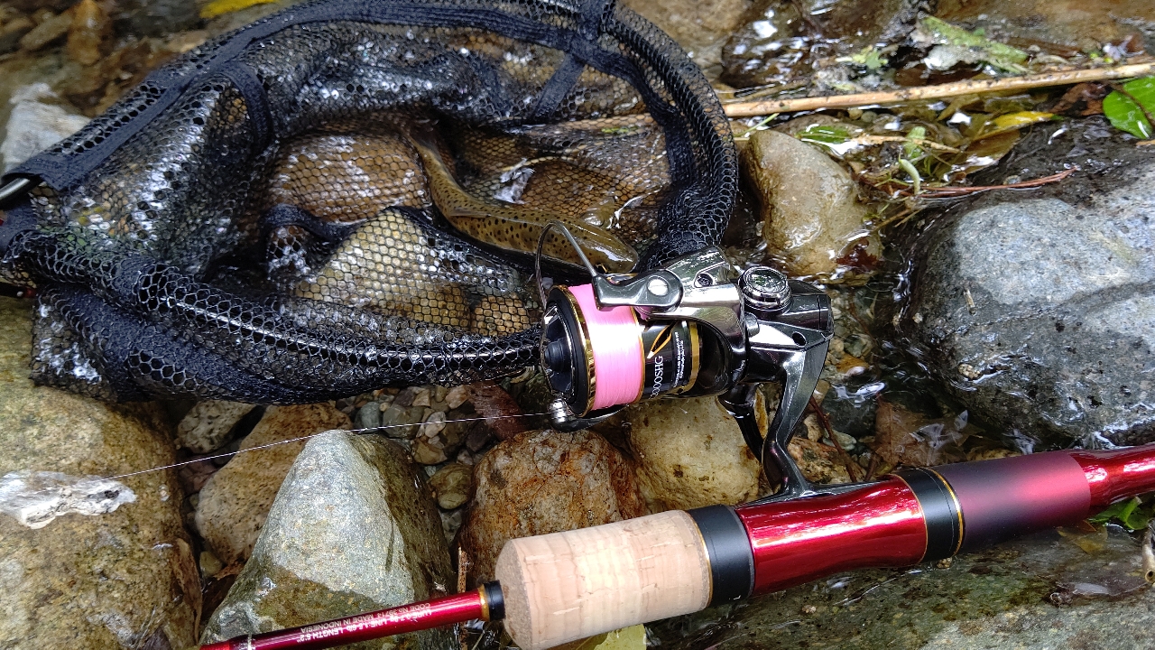 SHIMANO 19ワールドシャウラ テクニカルエディション S52UL-3/F