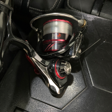 DAIWA GEKKABIJIN MX LT2000S