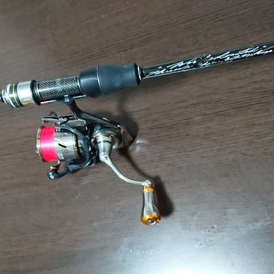 DAIWA LUVIAS FC LT2000S