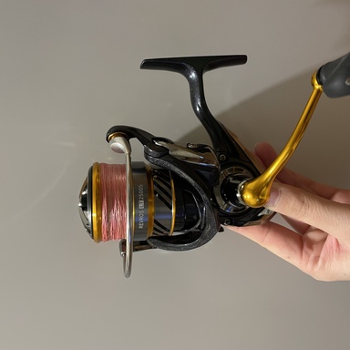 DAIWA REVROS LT2500S